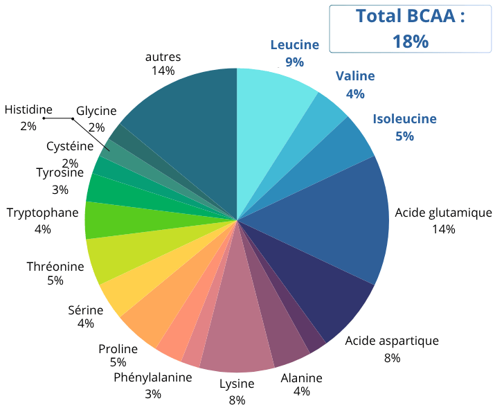 aminogramme complet et riche en acides aminés essentiels de la whey concentrée