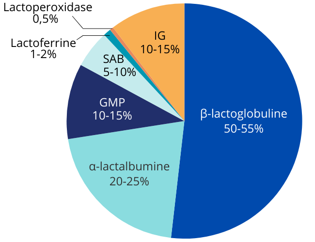 Composition en protéines du lactoserum issu du lait de vache