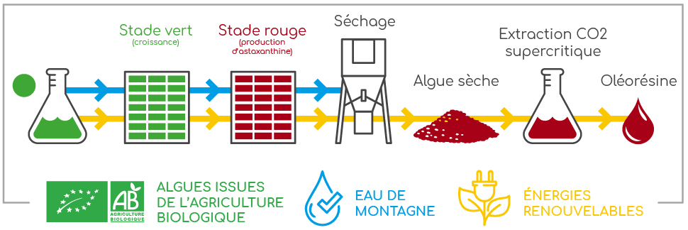 Astaxanthine Nutrixeal production
