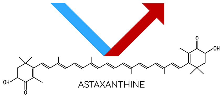 L'astaxanthine absorbe la lumière bleue et est donc de couleur rouge