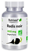 radis noir 100% BIO