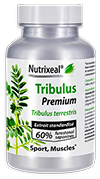 Extrait standardisé de Tribulus terrestris : 60% furostanol saponines (protodioscine