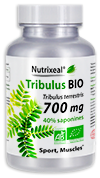 Tribulus terrestris BIO standardisé à 40% de saponines
