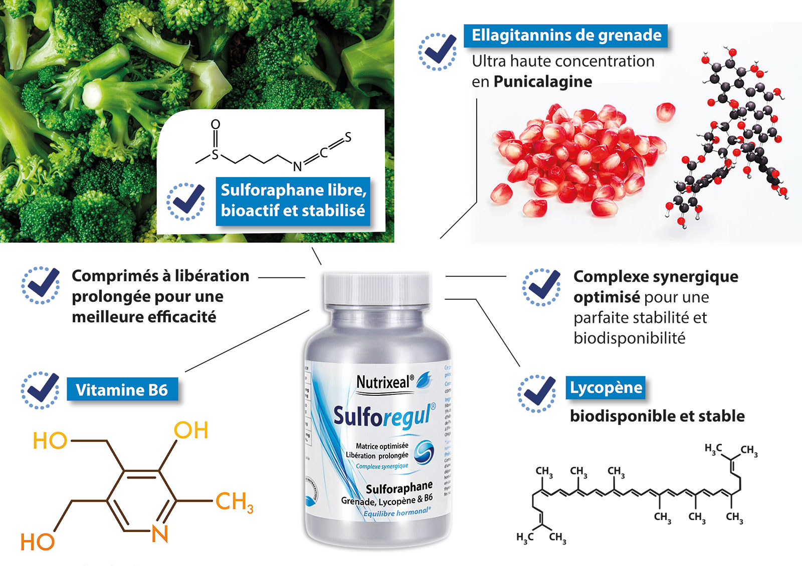 Les points forts du complément alimentaire Suforégul à base sulforaphane stabilisé, Ellagitannins de grenade concentrés en punicalagine, Lycopène stable et de la vitamine b6