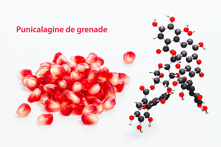 Punicalagine de grenade