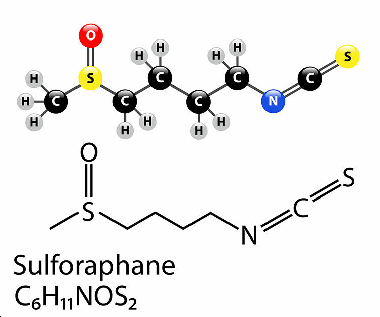 Sulforaphane : formule chimique