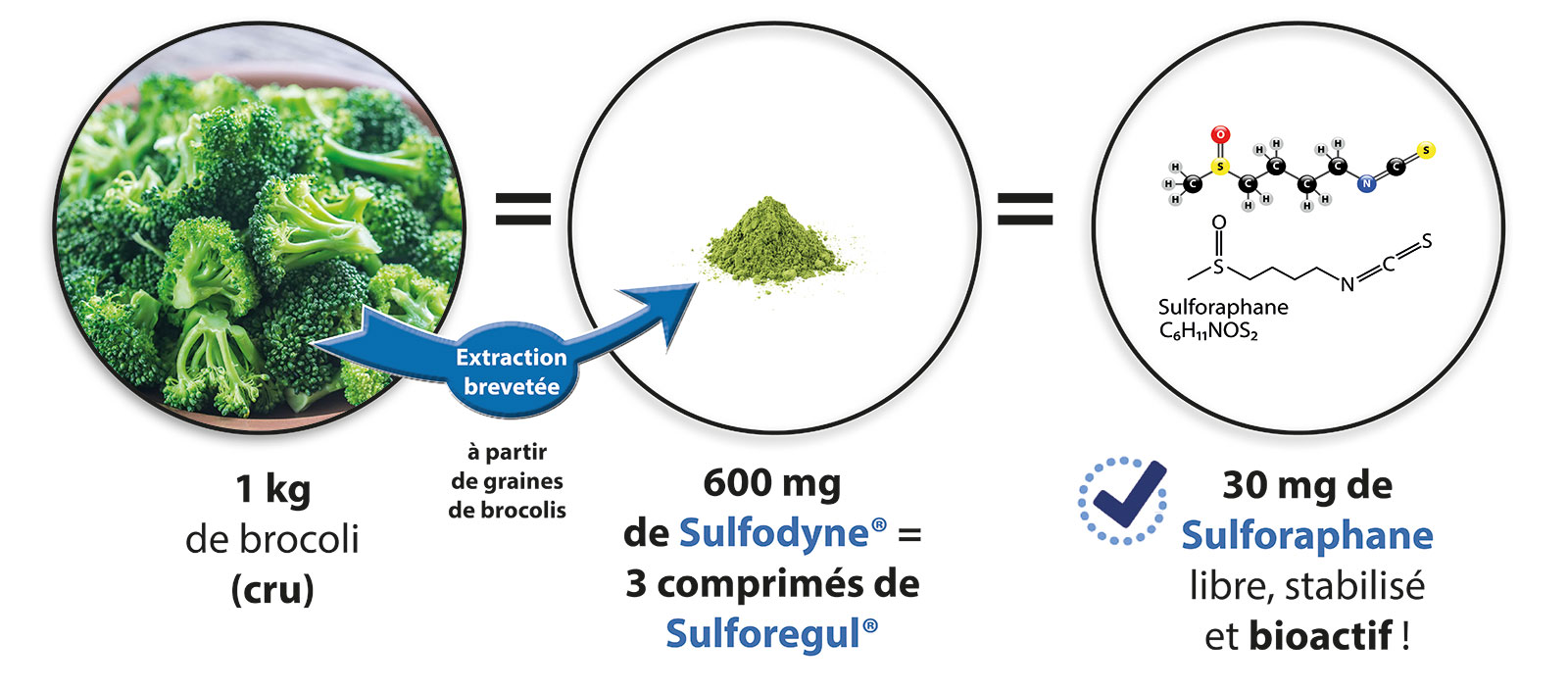 380 grammes de brocolis = 200 mg de sulfodyne = 10 mg de Sulforaphane libre