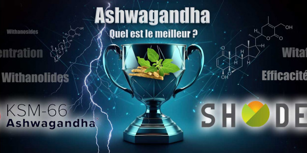 Quel est vraiment le meilleur extrait d’Ashwagandha ?