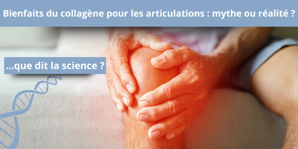 Bienfaits du collagène pour les articulations : Mythe ou réalité ? Que dit la science ?