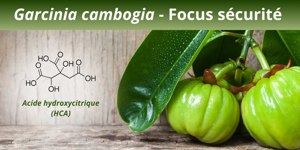 Garcinia Cambogia : Faut-il vraiment s’inquiéter après l’avis de l’ANSES ?